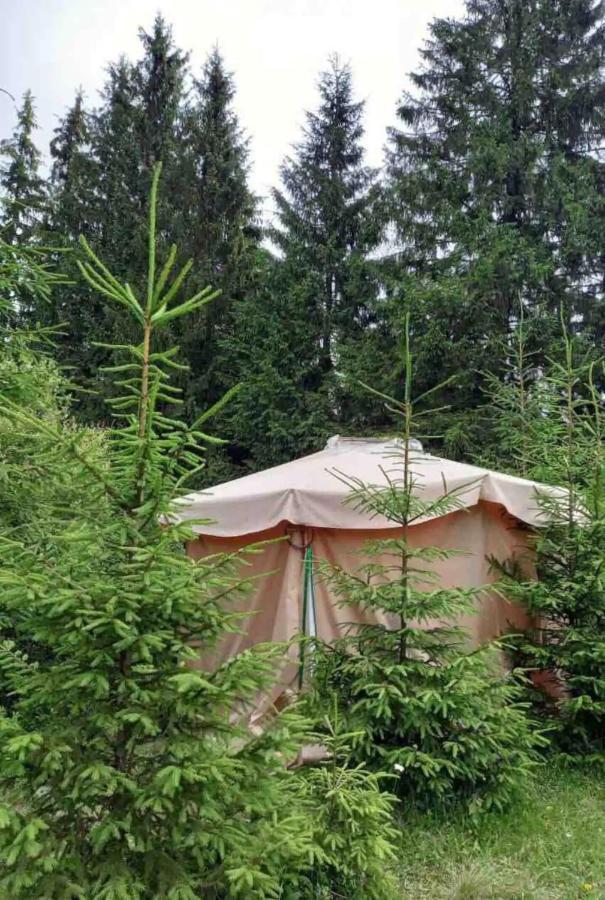 Eco Glamping - Carpathians. Retreat Hub Dzin Space Verhovîna Exterior foto