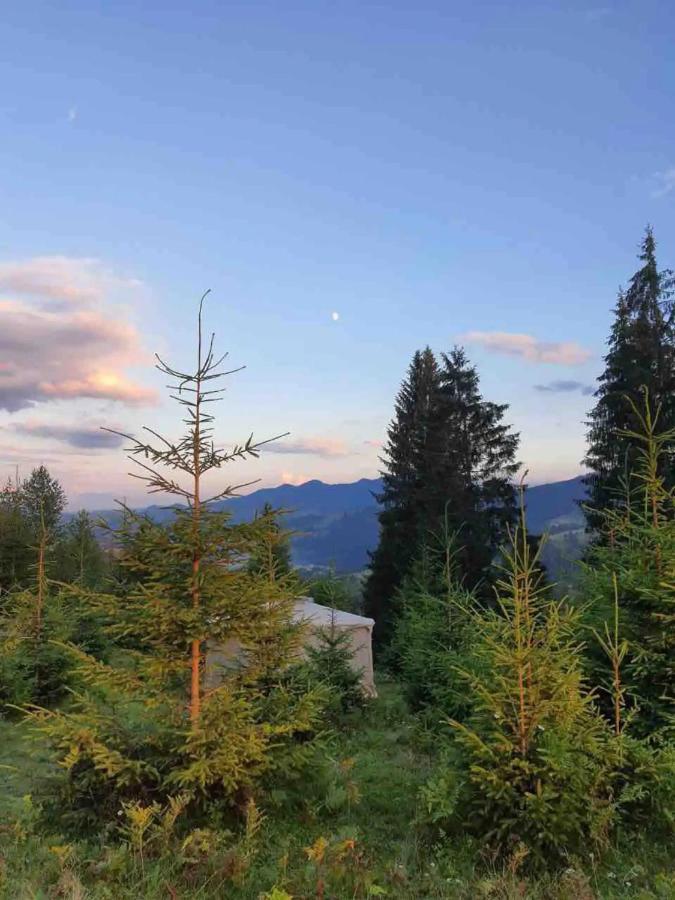 Eco Glamping - Carpathians. Retreat Hub Dzin Space Verhovîna Exterior foto